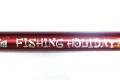 Маховое удилище DF Fishing Holidey 5.0m