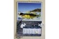 Рыболовный календарь "Времена клева" 2011 год