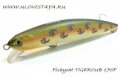 Воблер FISHYCAT TIGERCUB 170F